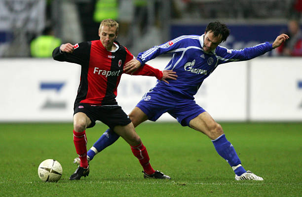 赖于他们各 赖于他们各